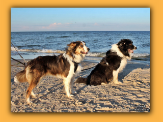 JayJay und Jayla (12).jpg